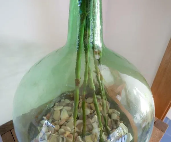 Atico Del Arco Apartment Cangas do Morrazo